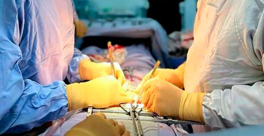 Segundo Lugar en Trasplantes