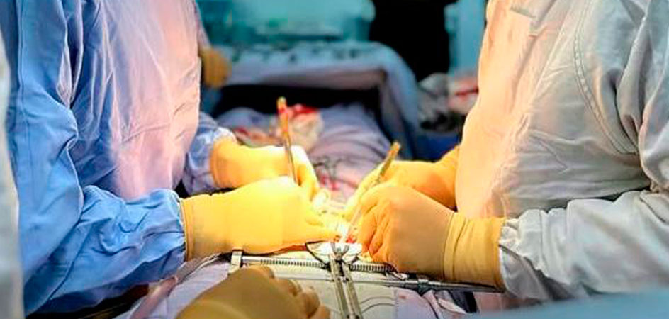 Segundo Lugar en Trasplantes