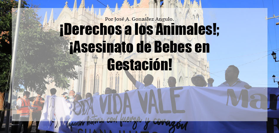¡Derechos a los Animales!; ¡Asesinato de Bebes en Gestación!