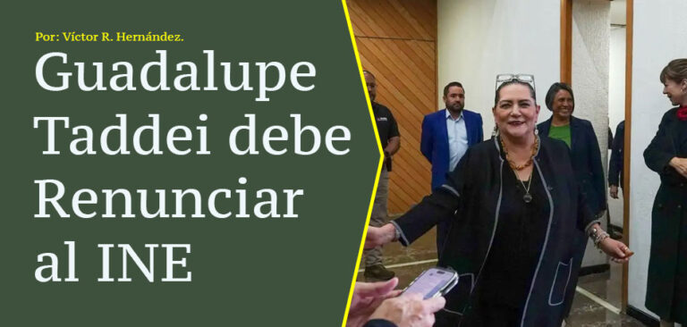 Guadalupe Taddei debe Renunciar al INE