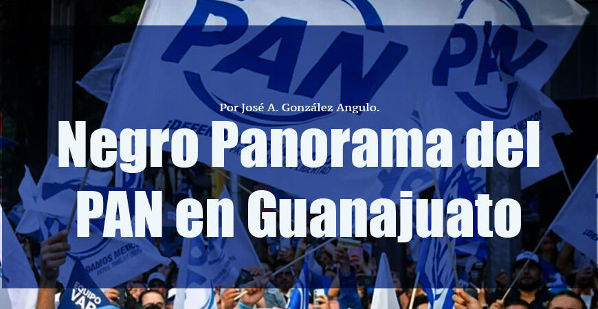 Negro Panorama del PAN en Guanajuato