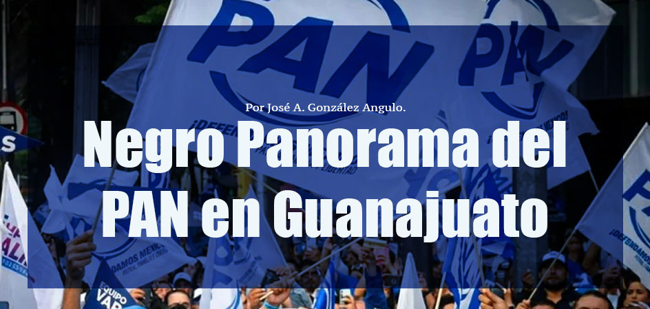 Negro Panorama del PAN en Guanajuato